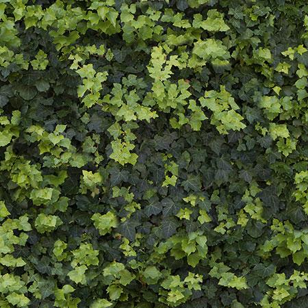 Limpha Helix | Casalgrande Padana Limpha Helix | Casalgrande Padana
