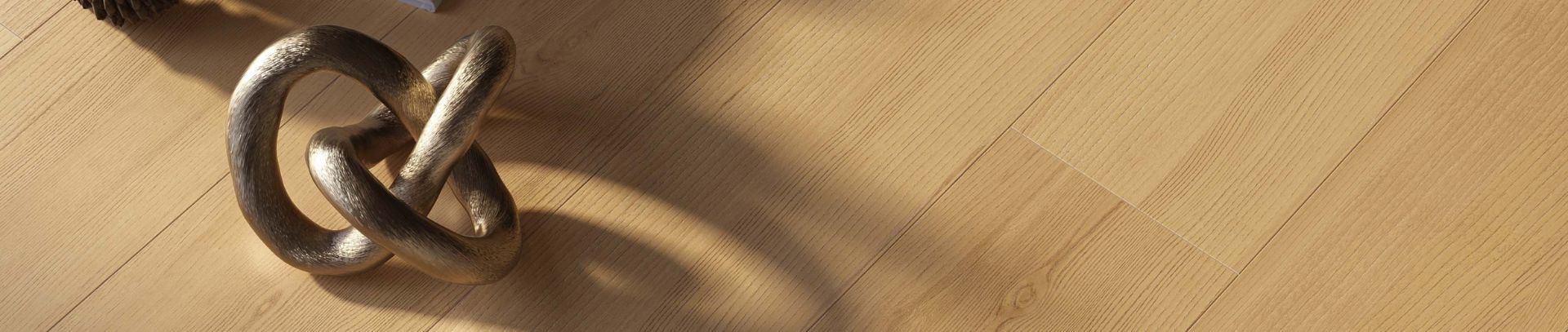 Project Wood and the charm of beech wood